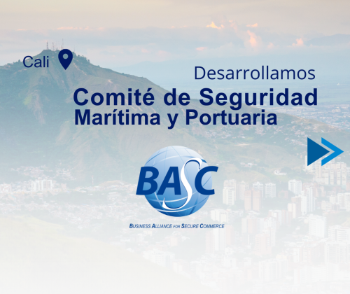 Comité de Seguridad Marítima y Portuaria 