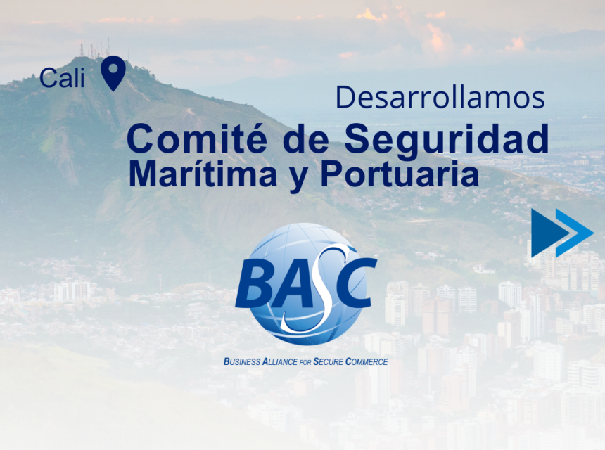 Comité de Seguridad Marítima y Portuaria 